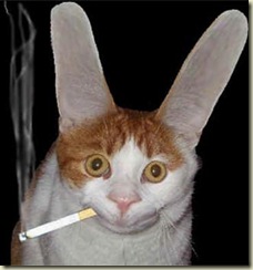 Подытожим. Подытожим.