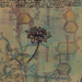 Medicine VII