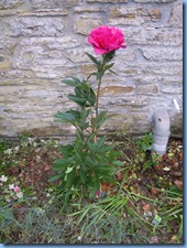 Picture 067b
