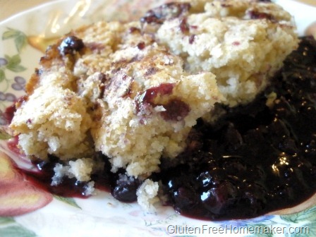 [blueberry cobbler on plate[6].jpg]