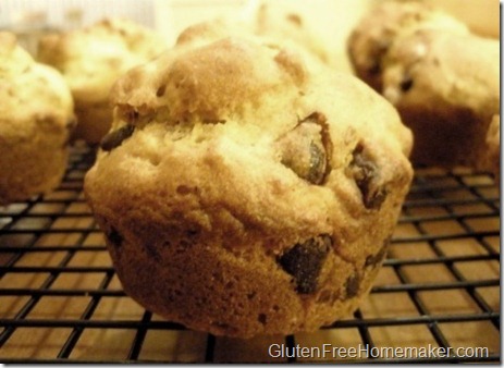 chocolate chip muffins