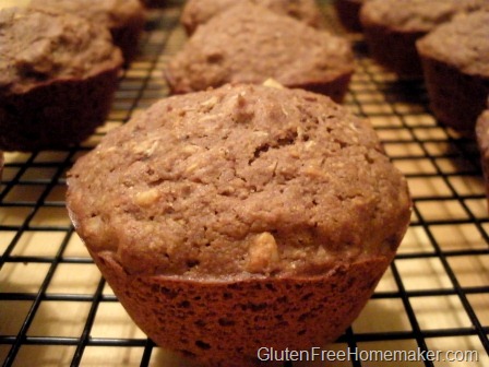 [chocolate coconut muffins[2].jpg]
