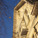IMGP3455.JPG
