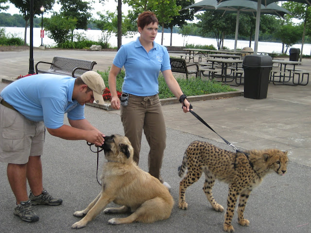 zoo historian
