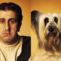 Perros06.jpg