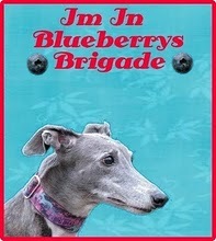 [blueberrybrigade[2].jpg]
