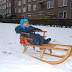 Stan op de slee