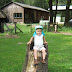 Bij de schaapskooi