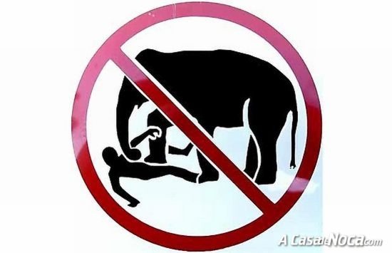 [foreign_signs_07[4].jpg]
