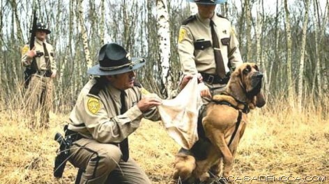 [police_and_fire_20[8].jpg]