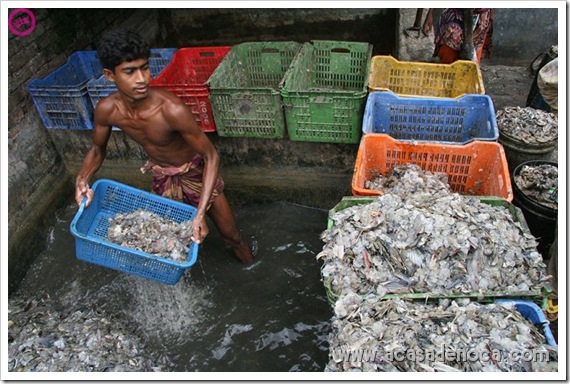 plastic_08