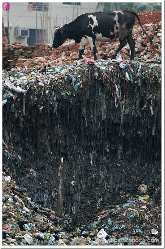 plastic_09