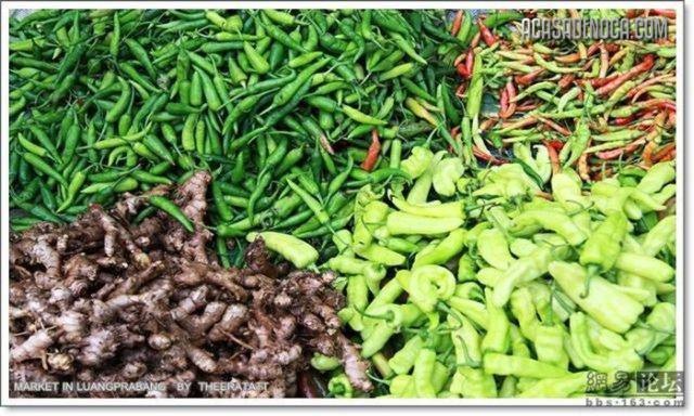 [asian_market_18[8].jpg]