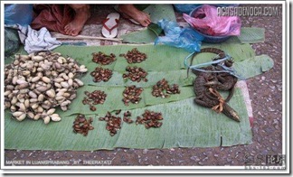 asian_market_07