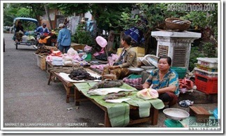 asian_market_08