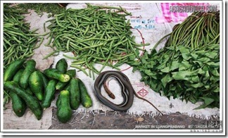asian_market_14