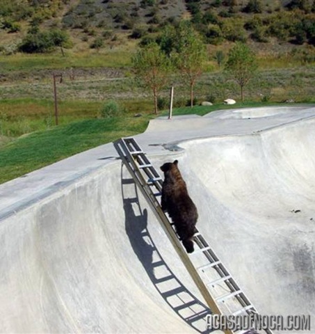 [urso3[7].jpg]