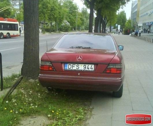 [1252311113_1243145904mb1[7].jpg]