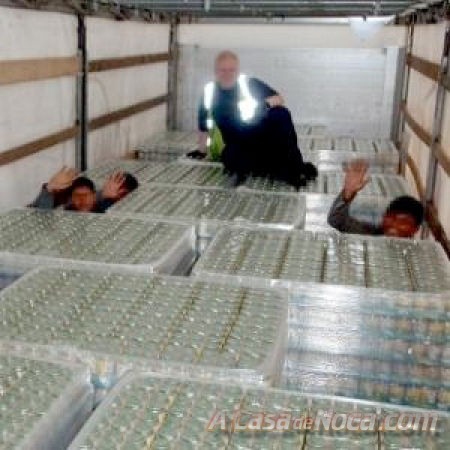 [illegal_aliens_14[3].jpg]