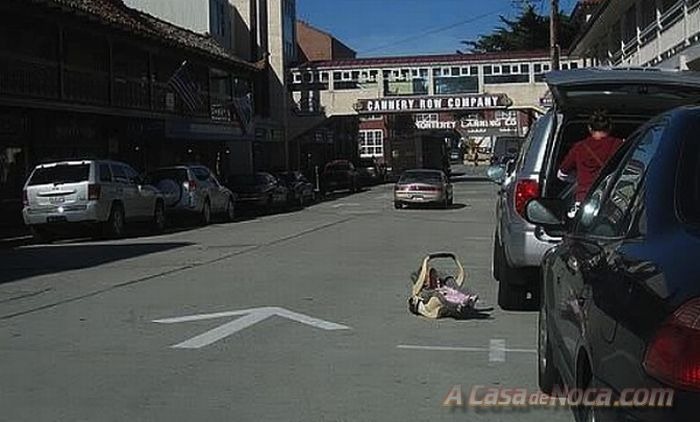 [1282124025_119606797[6].jpg]