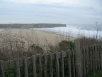 California Coast - Wilder State Park, Santa Cruz.