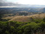 Hills north of Santa Cruz.