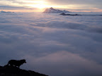Cassidy and morning clouds.