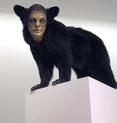 Na imagem, um urso preto
