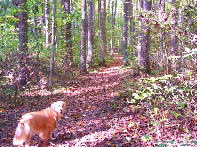 [Walk in the woods 008[6].jpg]