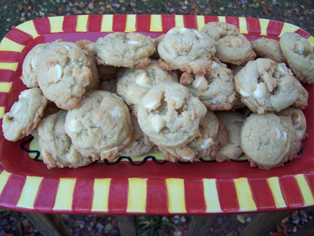 [CreamsicleCookies0053.jpg]