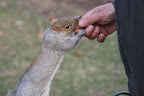 IMG_1864.JPG