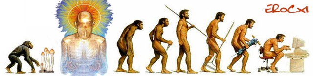 [evolution-EROCx1[9].jpg]