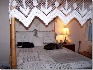 newquilt2 103010