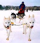 Family Vacation Dogsledding Ontario with Winterdance