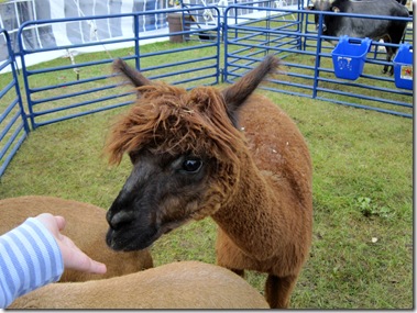 IMG_3750 IMG_3750