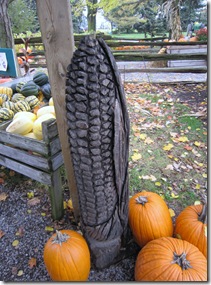 IMG_3909 IMG_3909