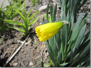 IMG_5616 IMG_5616