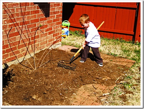 gardening 2010 006