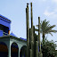 Expedição Marrocos 2007