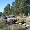 DSC00039 (Medium).JPG