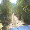 DSC00825.JPG
