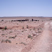 P1010115.JPG