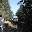 DSC03168.JPG