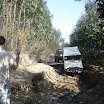 DSC03169.JPG