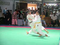 IMGP9936.JPG