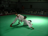 IMGP9958.JPG