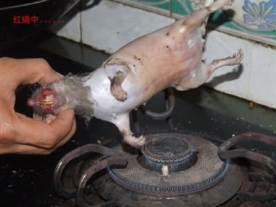 残杀老鼠 烤之 残杀老鼠 烤之