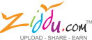 可以 赚美元 网盘 Ziddu