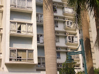 CIMG5134.JPG