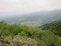 IMG_0493.JPG